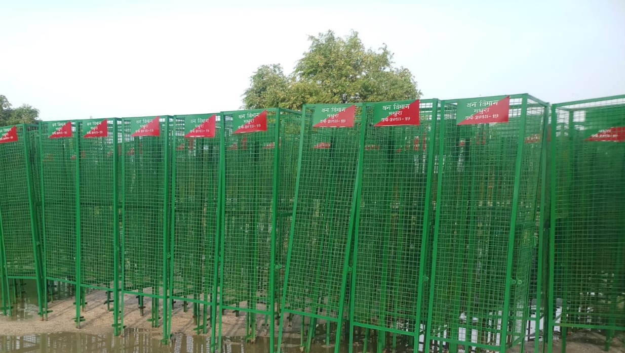 Square Iron Tree Guard